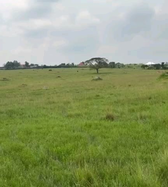 WhatsApp Image 2024-06-25 at 1.32.40 PM 1.jpeg